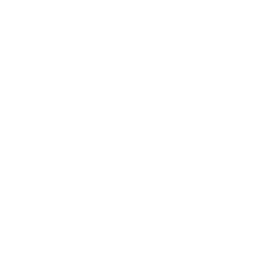 Individuelle Video-Laufbandanalyse